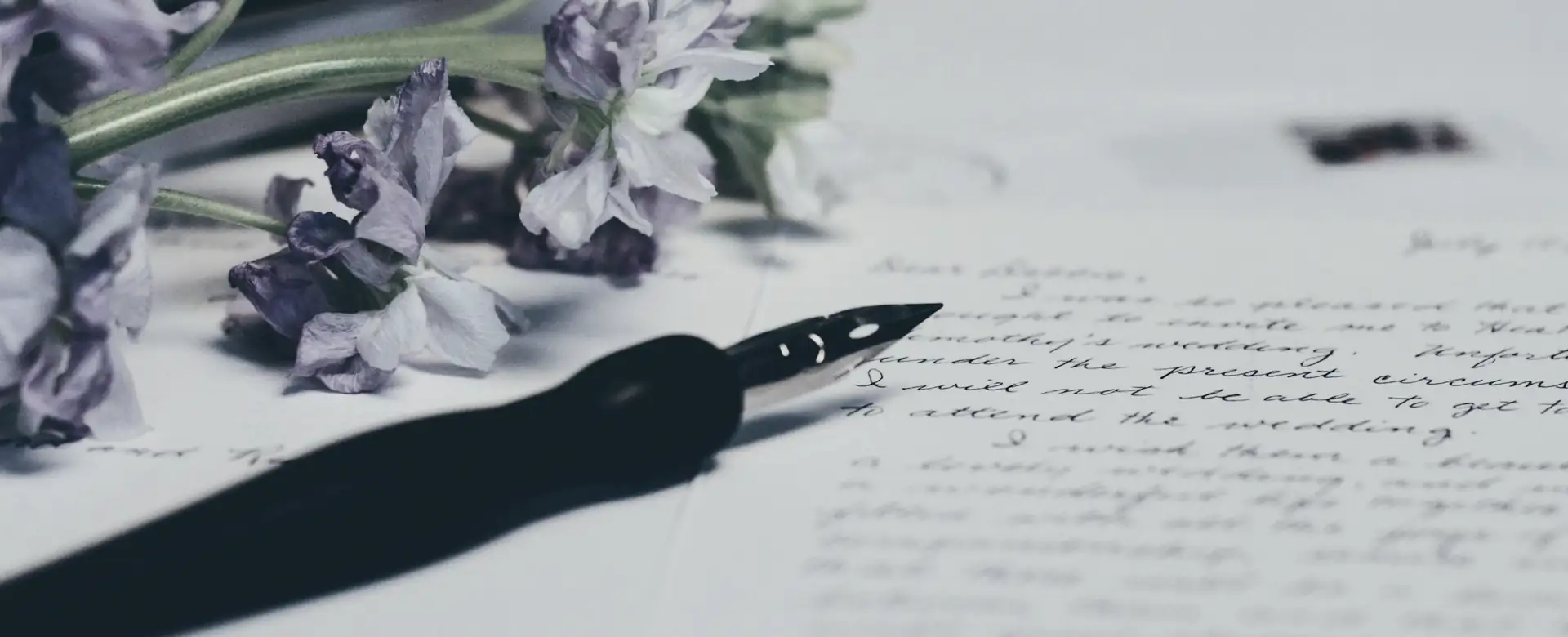 A pen and dried flowers lying on a handwritten page