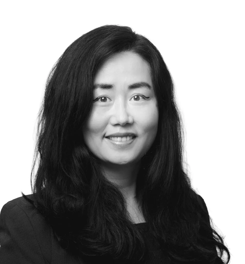 Joyce Wang, Special Counsel